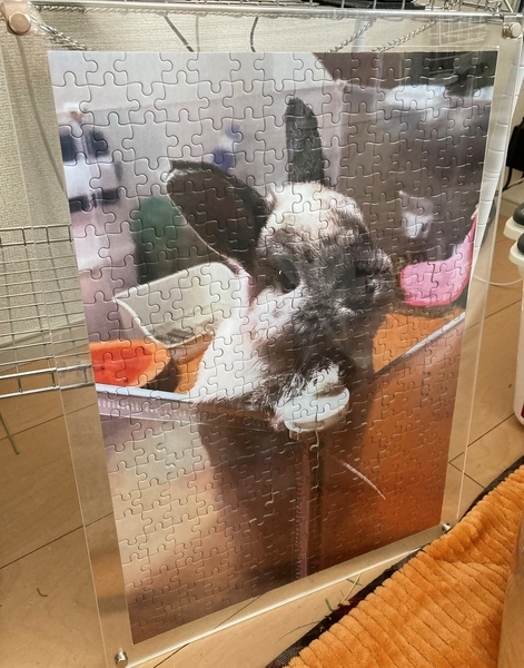 f:id:Sigezo:20210522125931j:plain