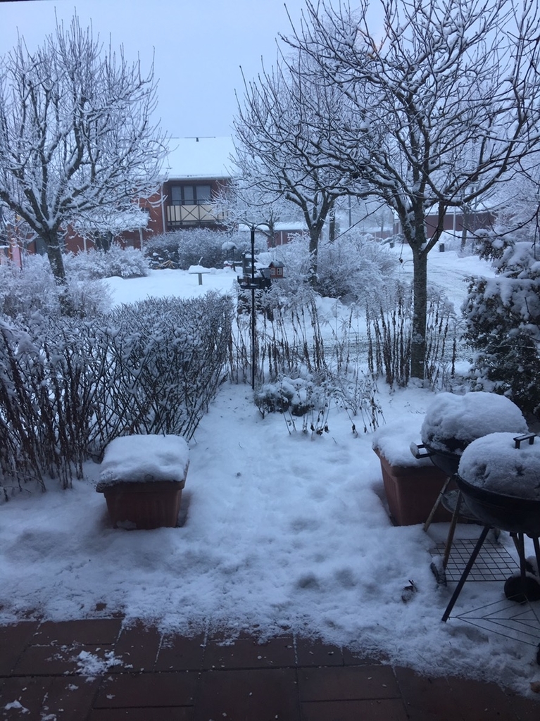 f:id:Sigvald:20190203154135j:plain