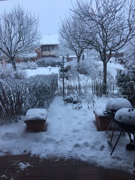f:id:Sigvald:20190601145509j:plain