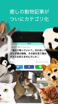 f:id:SikisimaHisayuki:20171215113549j:plain f:id:SikisimaHisayuki:20171215113549j:plain