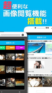 f:id:SikisimaHisayuki:20171215135024j:plain f:id:SikisimaHisayuki:20171215135024j:plain