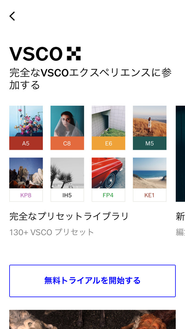 Vsco 使ってる オシャレに写真を加工したい人におすすめの画像編集アプリ 良さげな編集ツールやフィルターも紹介します Wepli 2 Vsco 使ってる オシャレに写真を加工したい人におすすめの画像編集アプリ 良さげな編集ツールやフィルターも紹介します Wepli 2