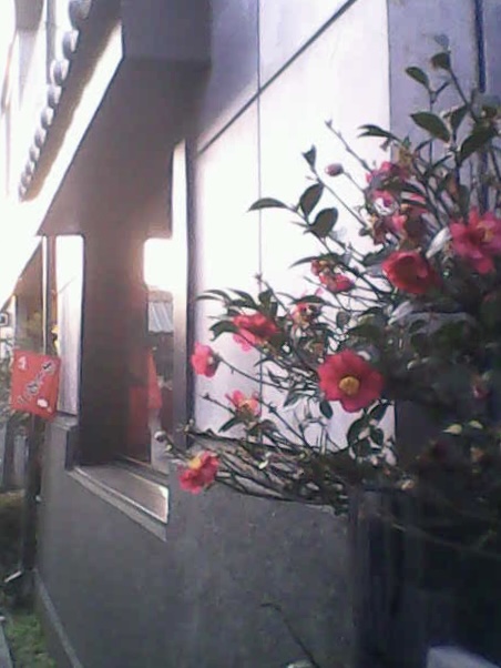 f:id:Sikoba_Photo:20220125054001j:plain