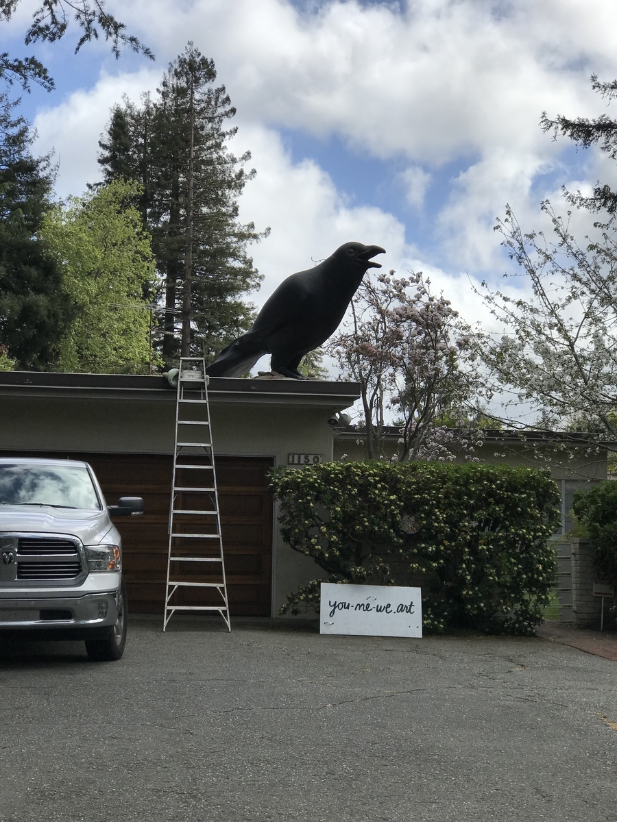 デカいカラス　写真 巨大カラスが出現！ - SiliconValleyの片隅から