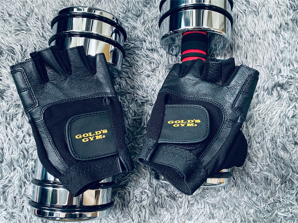 f:id:SilverFalconcam:20210624101114j:image f:id:SilverFalconcam:20210624101114j:image