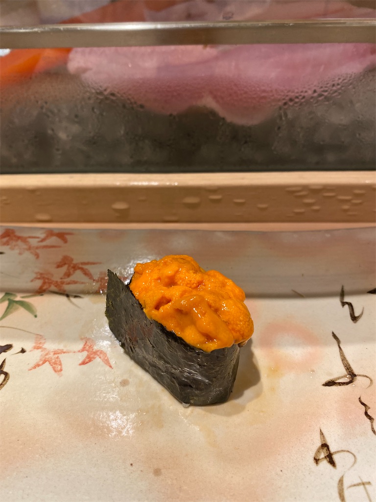 f:id:SilverFalconcam:20210809162141j:image