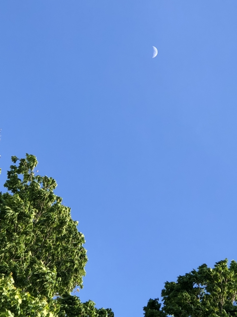 f:id:SimeHaru:20180525091858j:plain f:id:SimeHaru:20180525091858j:plain