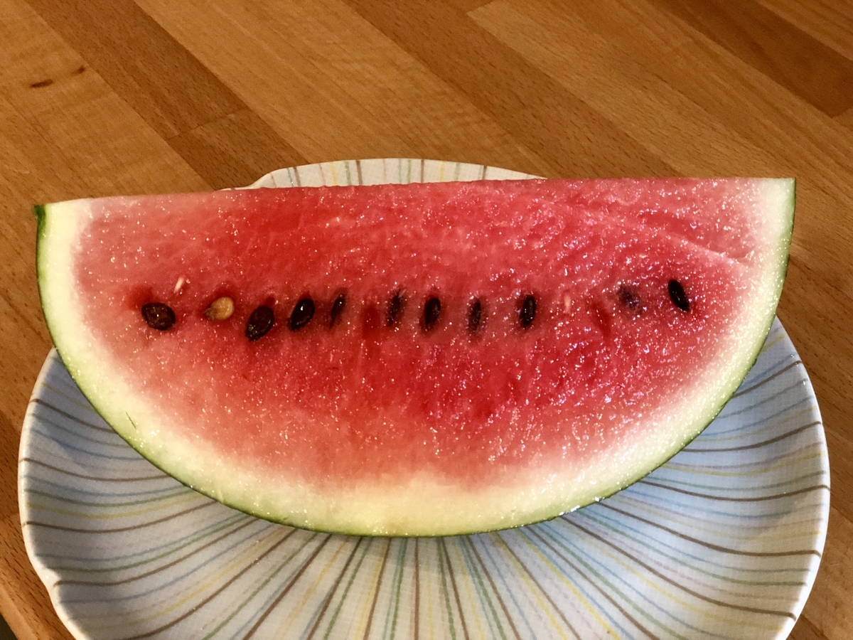 f:id:SimeHaru:20190924091253j:plain f:id:SimeHaru:20190924091253j:plain