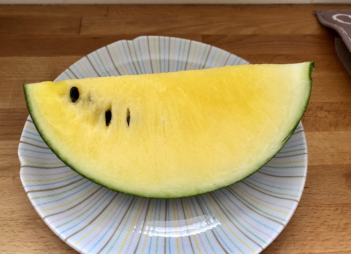 f:id:SimeHaru:20190924091320j:plain f:id:SimeHaru:20190924091320j:plain