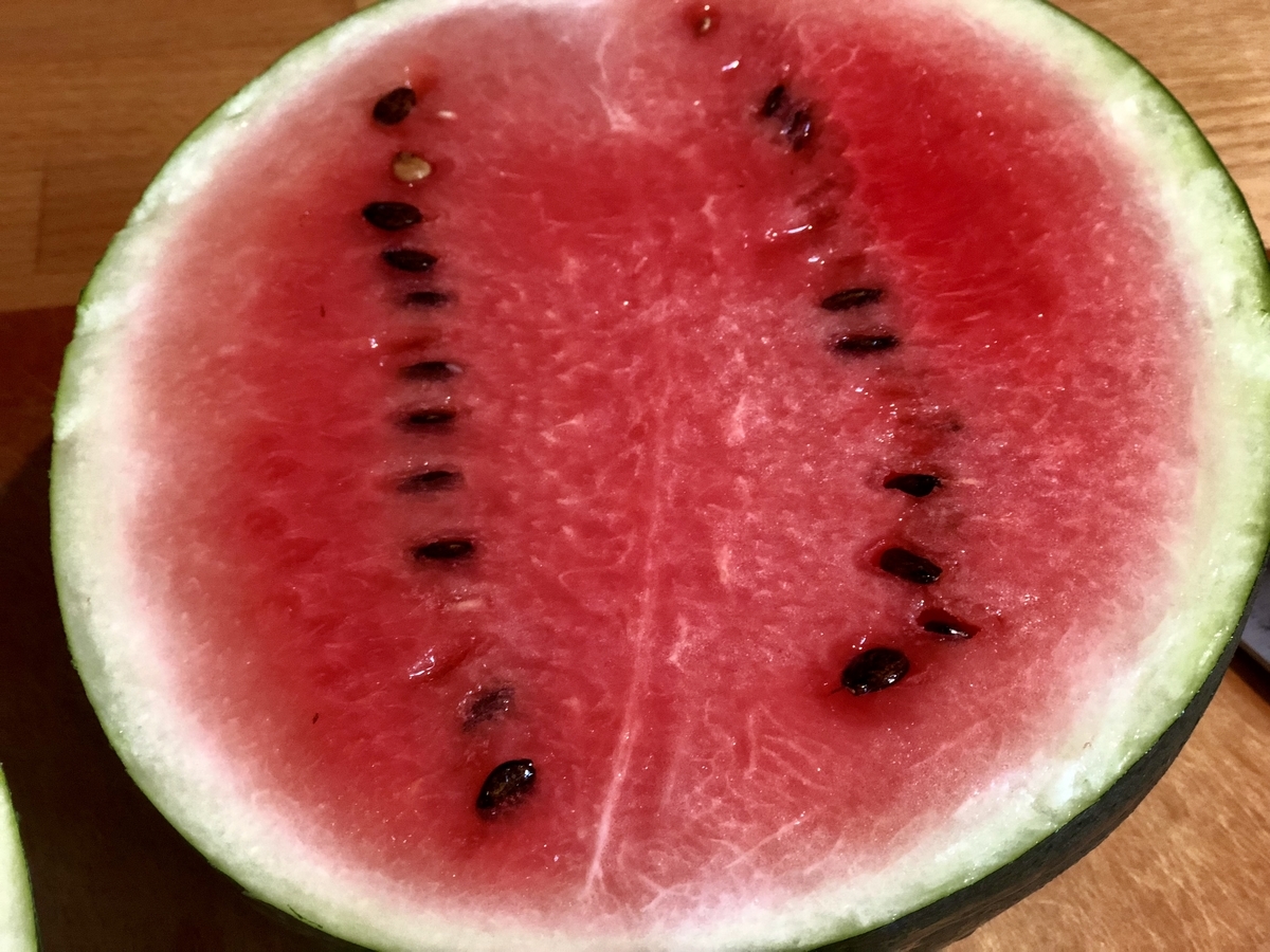 f:id:SimeHaru:20190924091401j:plain f:id:SimeHaru:20190924091401j:plain