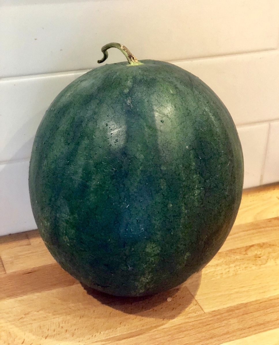 f:id:SimeHaru:20190924091422j:plain f:id:SimeHaru:20190924091422j:plain
