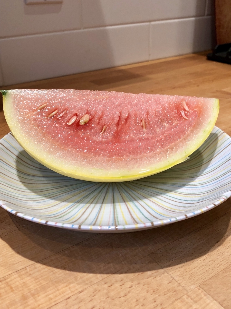 f:id:SimeHaru:20190924093643j:plain f:id:SimeHaru:20190924093643j:plain