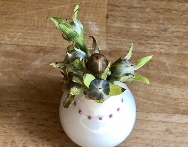 f:id:SimeHaru:20191028065651j:plain f:id:SimeHaru:20191028065651j:plain