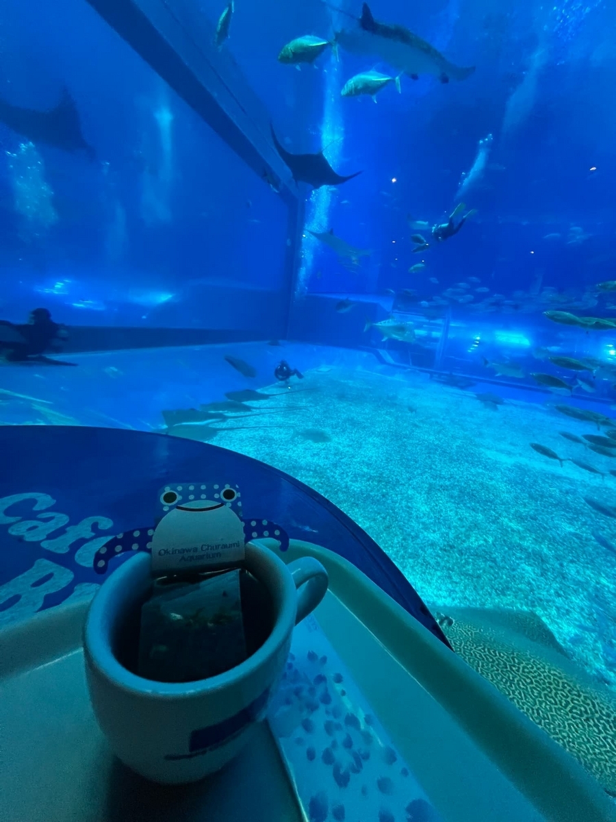 沖縄美ら海水族館のカフェ、オーシャンビューのちゅらティー