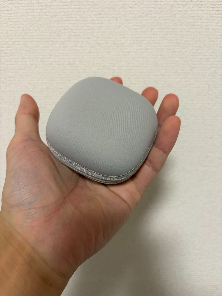 ケースに入れたラムダッシュパームLITE