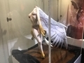 20191002204758