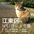 20191005164048