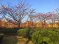20191005164129