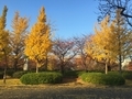 20191005164156