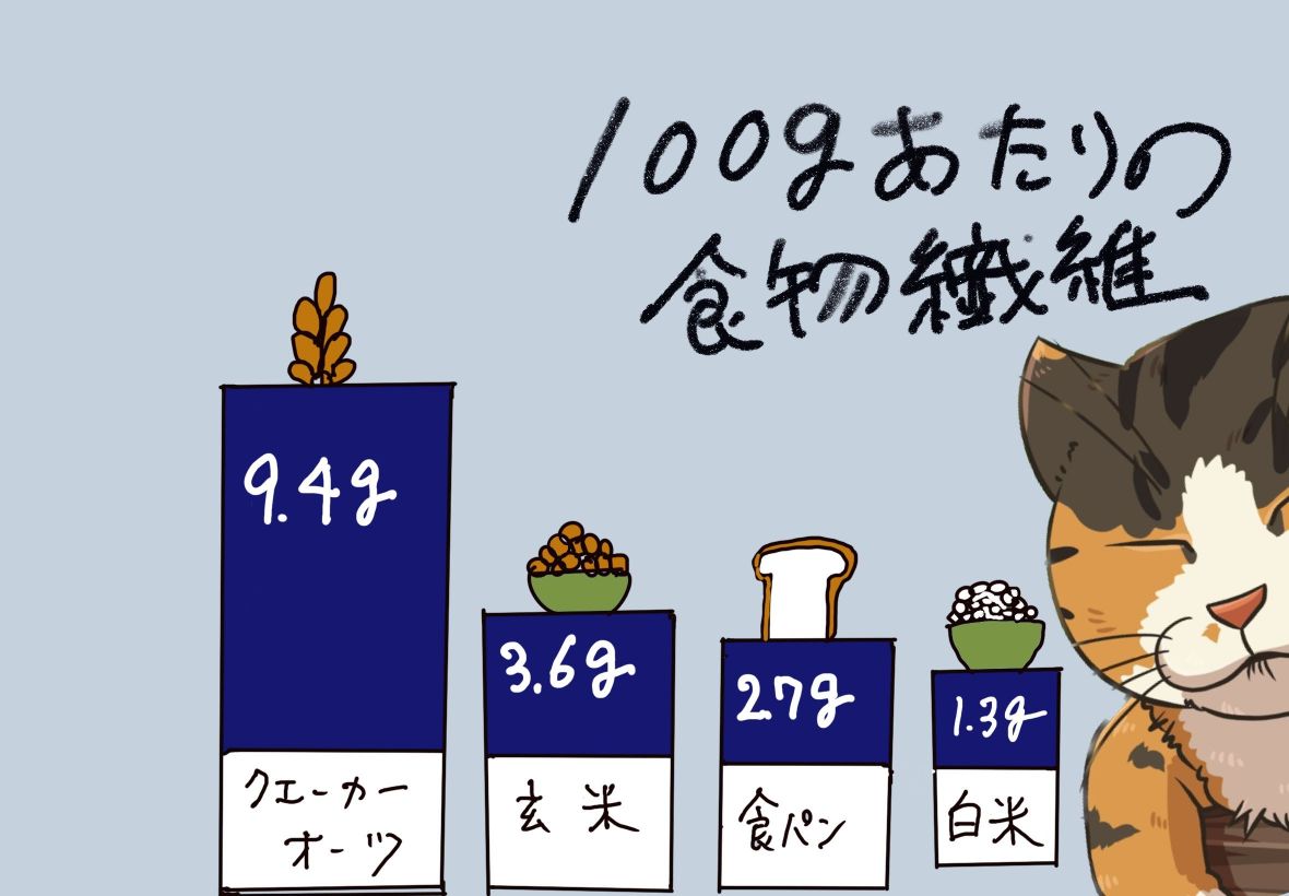 100gあたりの食物繊維オートミール