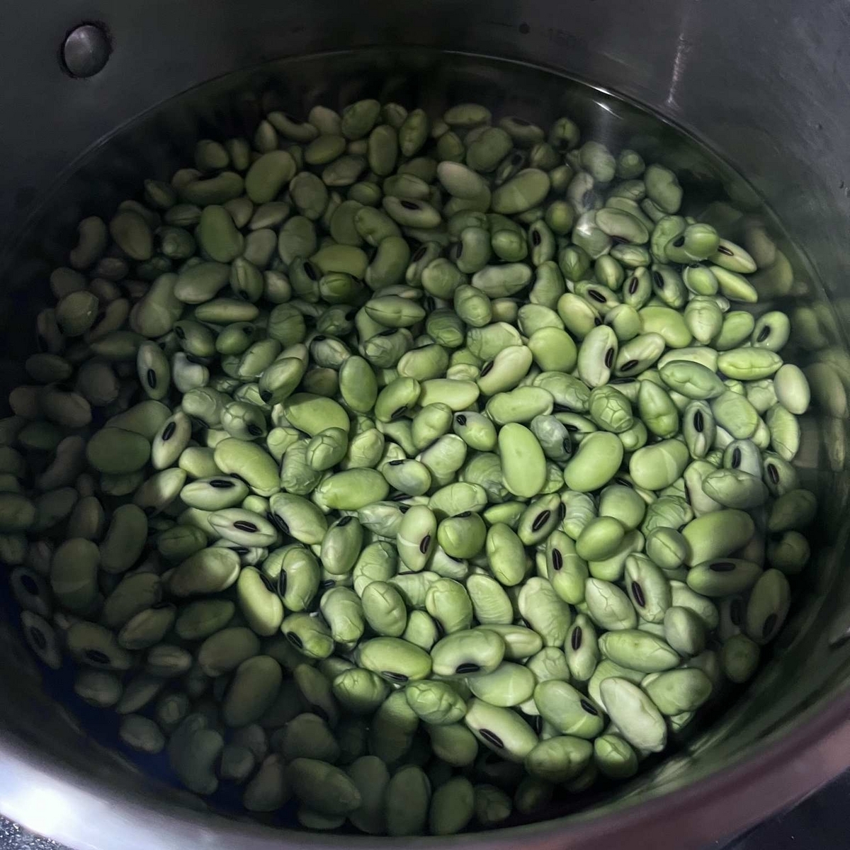 ひたし豆水につける