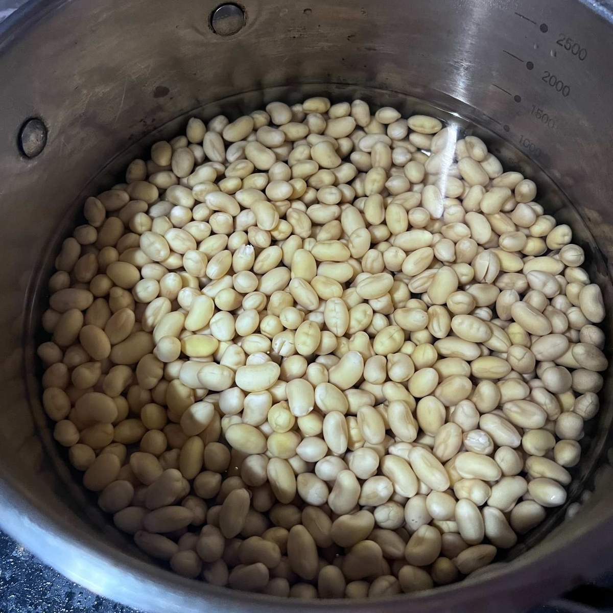 大豆水煮つける