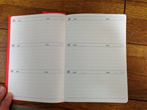 3Yearsdiary2