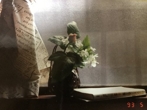 紙の写真を普通にカメラで写した写真