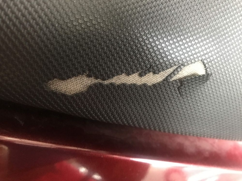 バイクシート傷