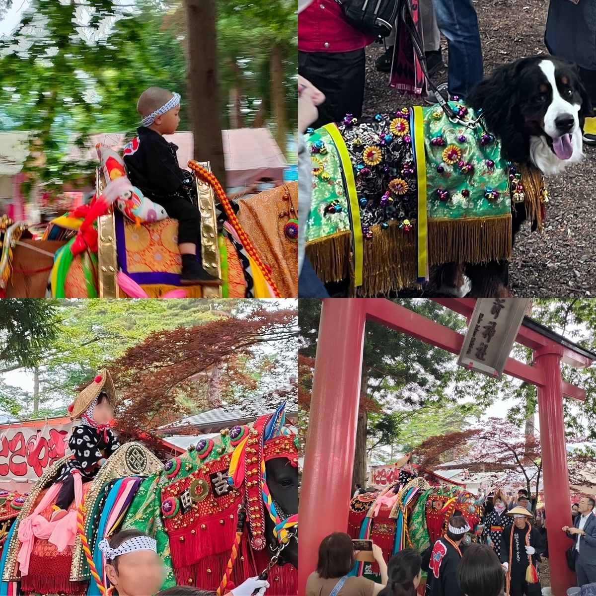 チャグチャグ馬コ