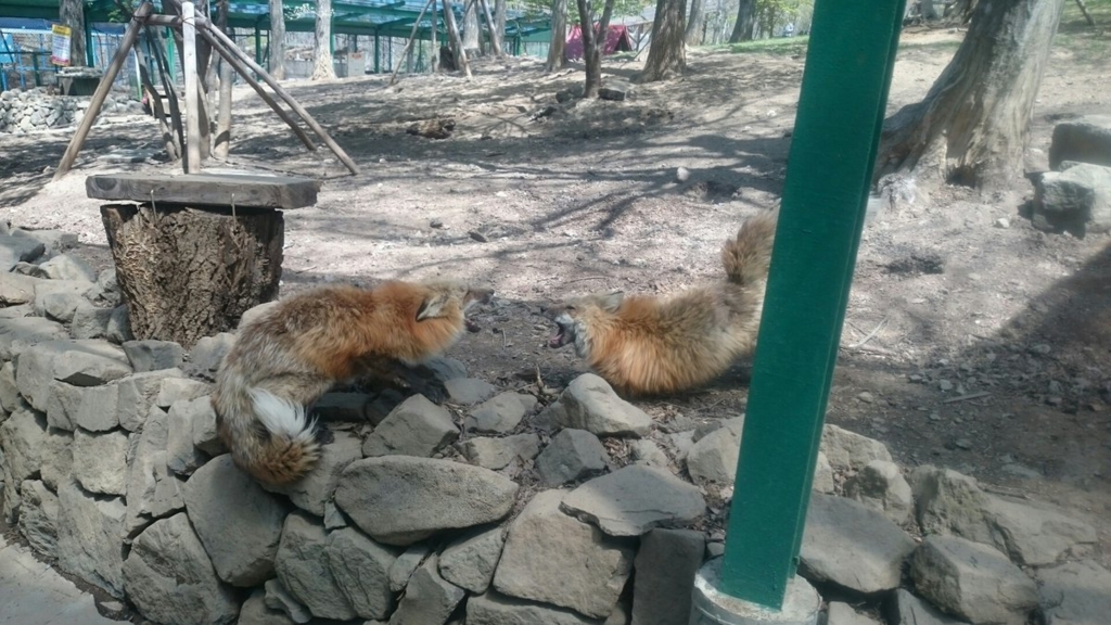 f:id:SinonAlpaca:20170506220545j:plain f:id:SinonAlpaca:20170506220545j:plain