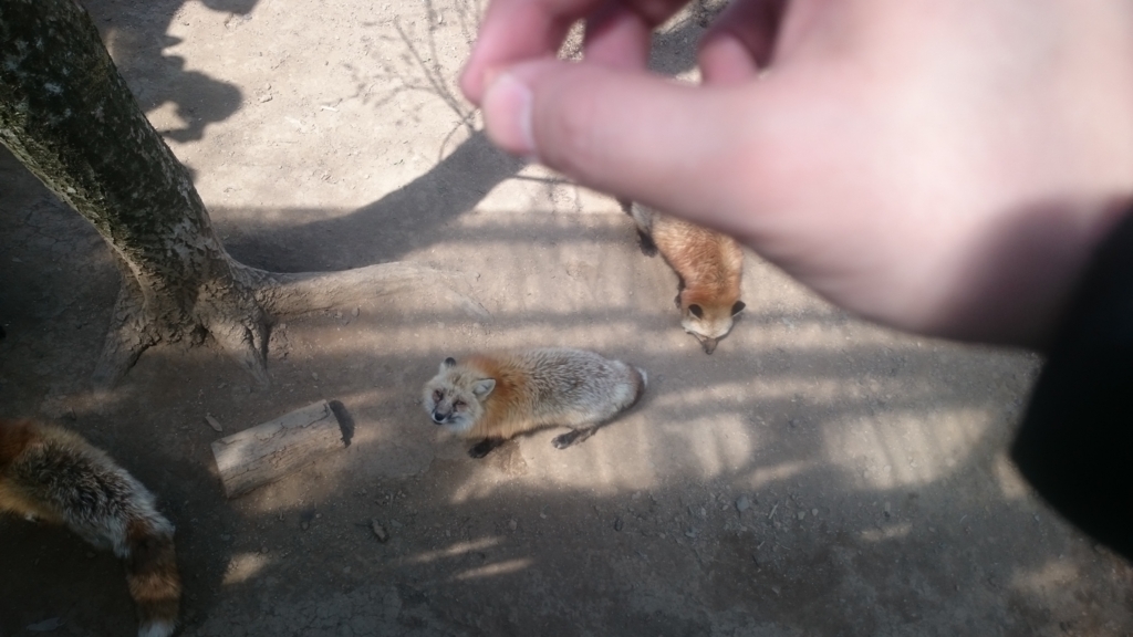 f:id:SinonAlpaca:20170506220755j:plain f:id:SinonAlpaca:20170506220755j:plain
