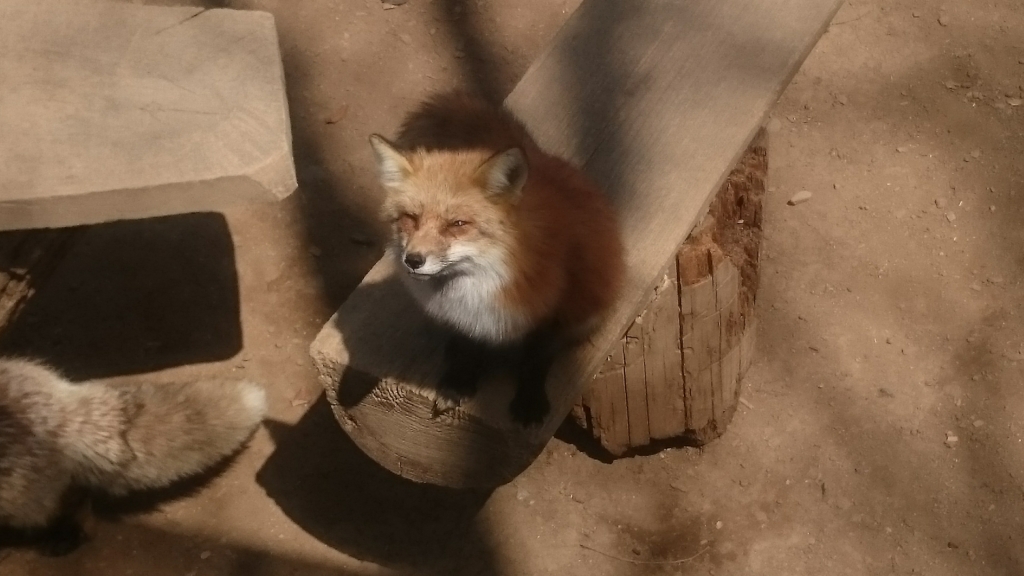 f:id:SinonAlpaca:20170506220814j:plain f:id:SinonAlpaca:20170506220814j:plain