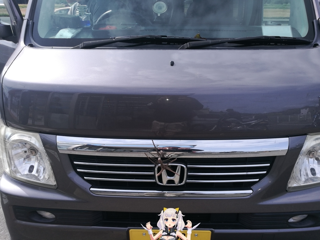 f:id:SinonAlpaca:20181017224456j:plain f:id:SinonAlpaca:20181017224456j:plain