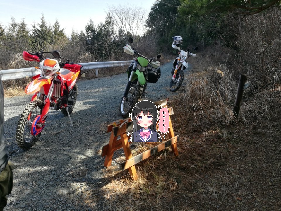 f:id:SinonAlpaca:20190220233640j:plain f:id:SinonAlpaca:20190220233640j:plain