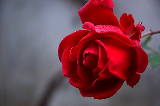 f:id:SiroAzuki:20201125110622j:plain