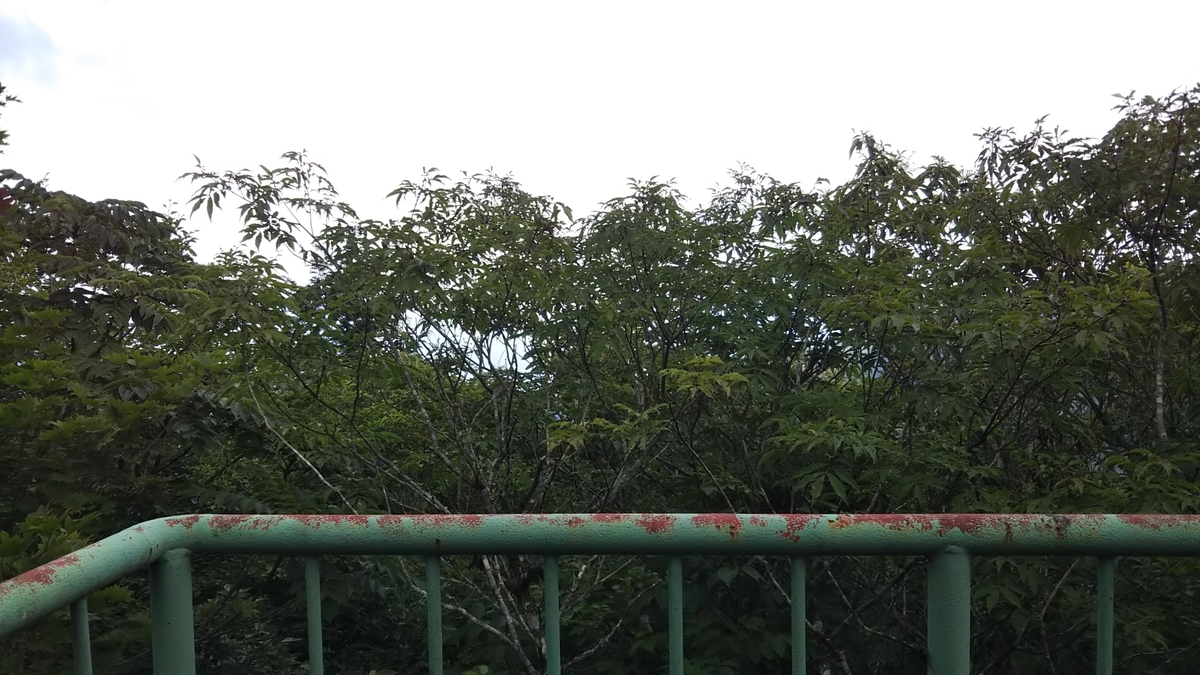 f:id:Sixdoublejump:20190822220437j:plain