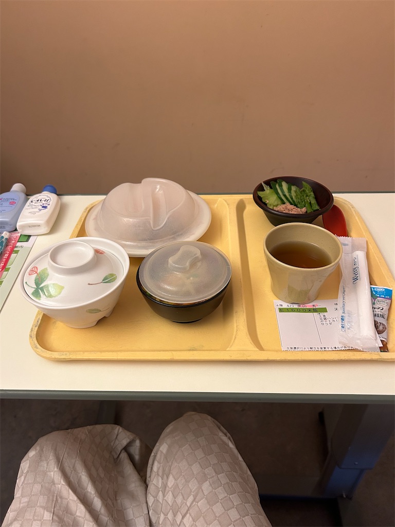 f:id:Siyuuichi:20240303144316j:image