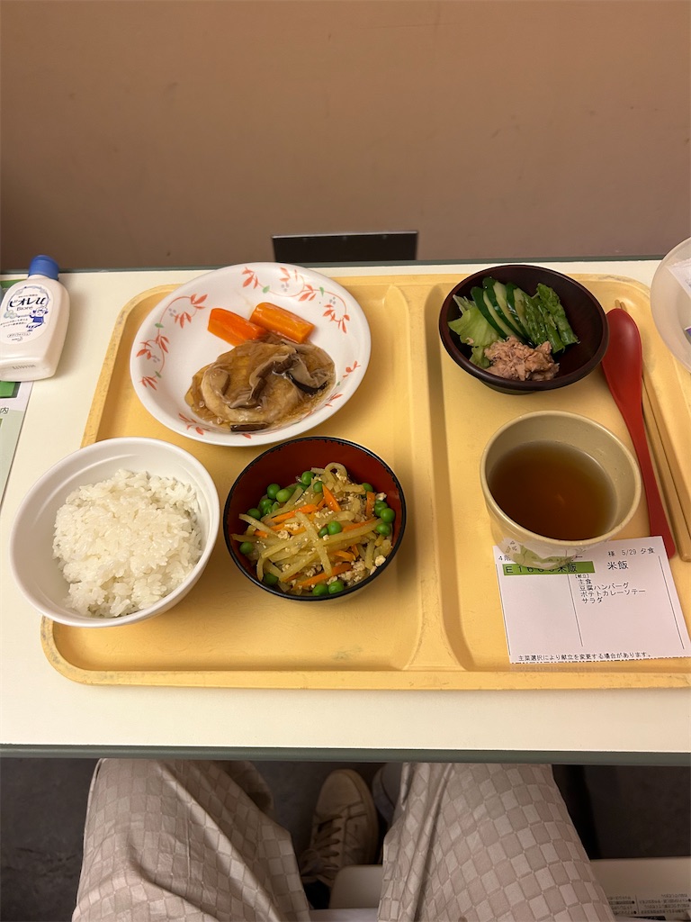 f:id:Siyuuichi:20240303144319j:image