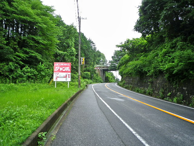 f:id:Skinhead:20100704095524j:image