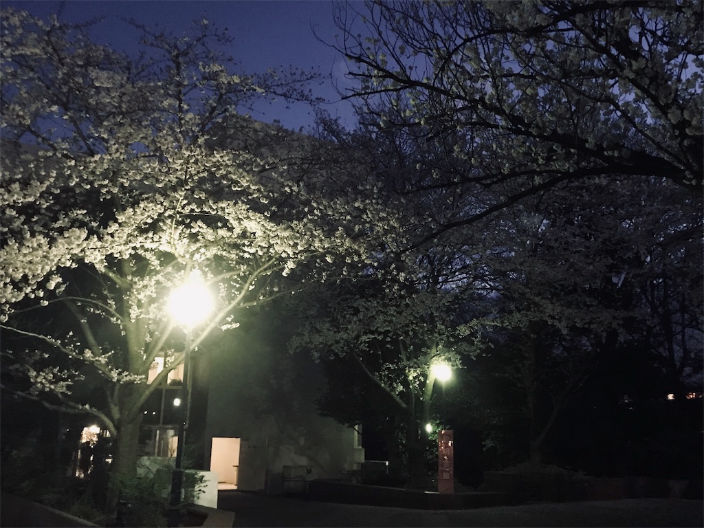 f:id:SkyBlue1893:20190404135343j:image f:id:SkyBlue1893:20190404135343j:image