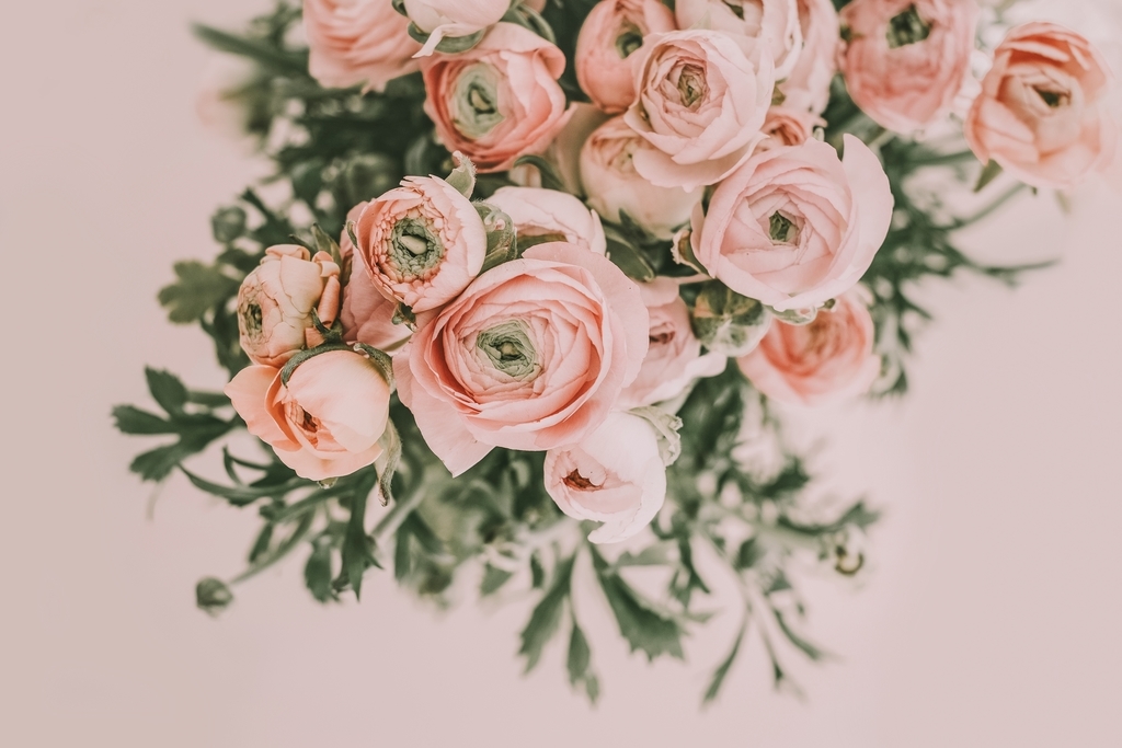 f:id:SkyHealing:20181213153520j:plain f:id:SkyHealing:20181213153520j:plain