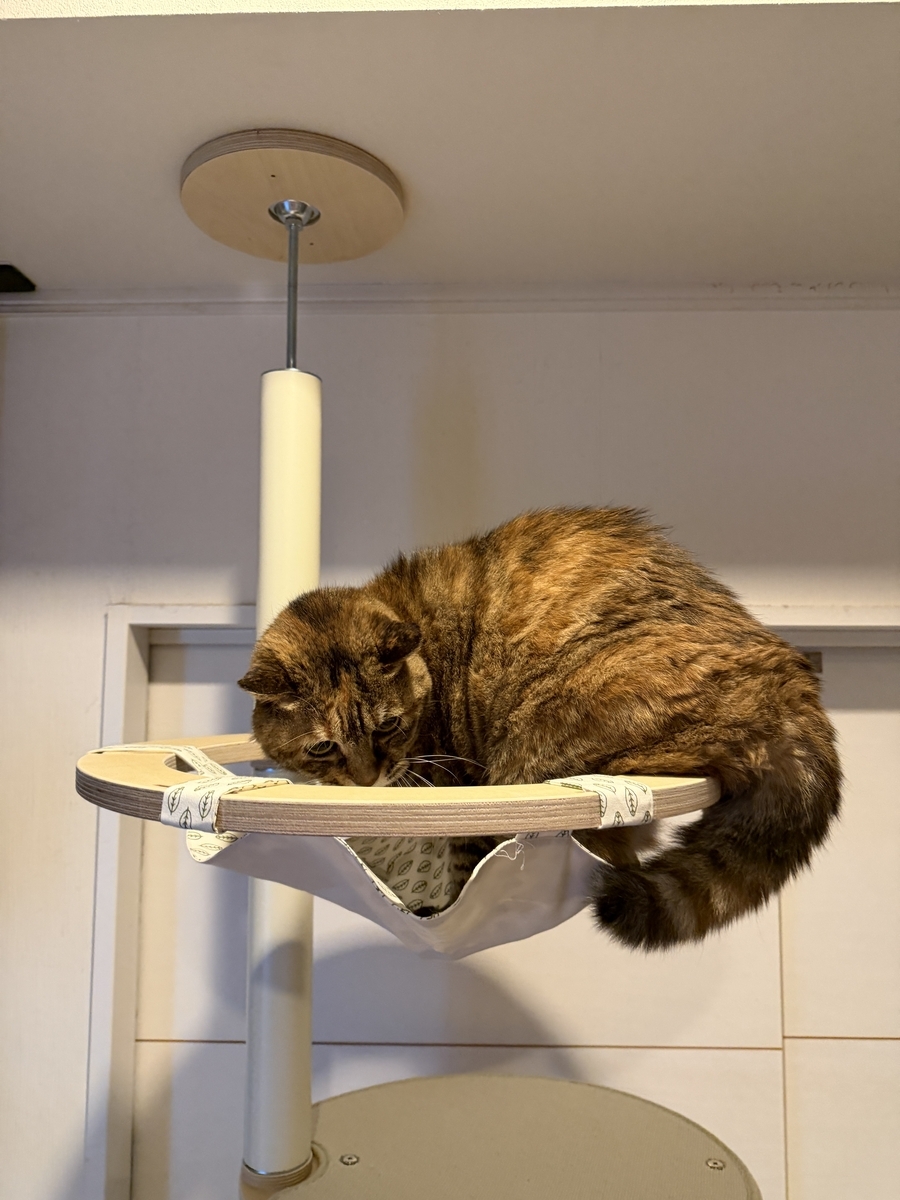 突っ張り型キャットタワー GATOBLANCO ガトブランコ キャットタワー導入！（GATOBULANCO/ガトブランコ） - ツールライクと