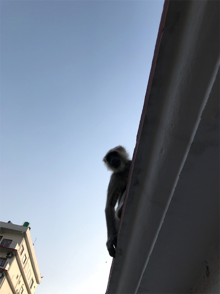 f:id:Sleepingpigeon:20180426022928j:image