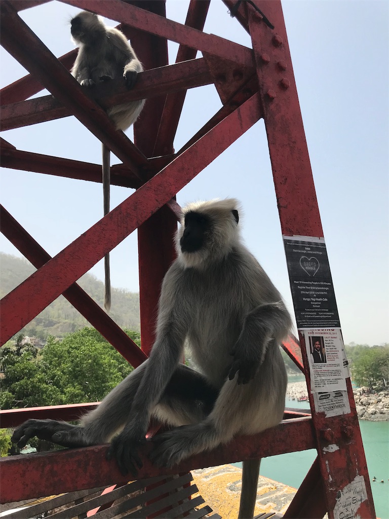f:id:Sleepingpigeon:20180426024252j:image