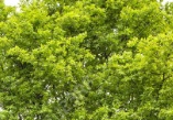 f:id:Sleipner:20200523201256j:plain