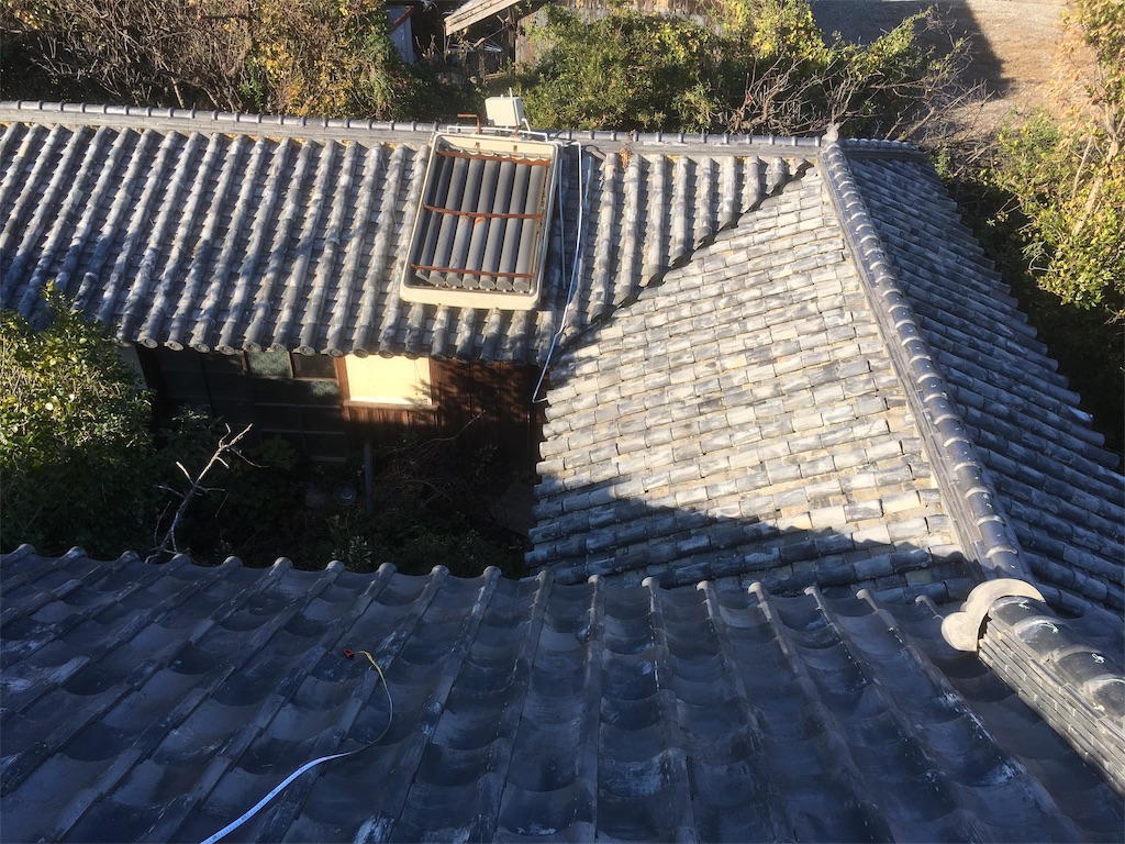 f:id:SmallForest-NaturalFarm:20190117000209j:image f:id:SmallForest-NaturalFarm:20190117000209j:image