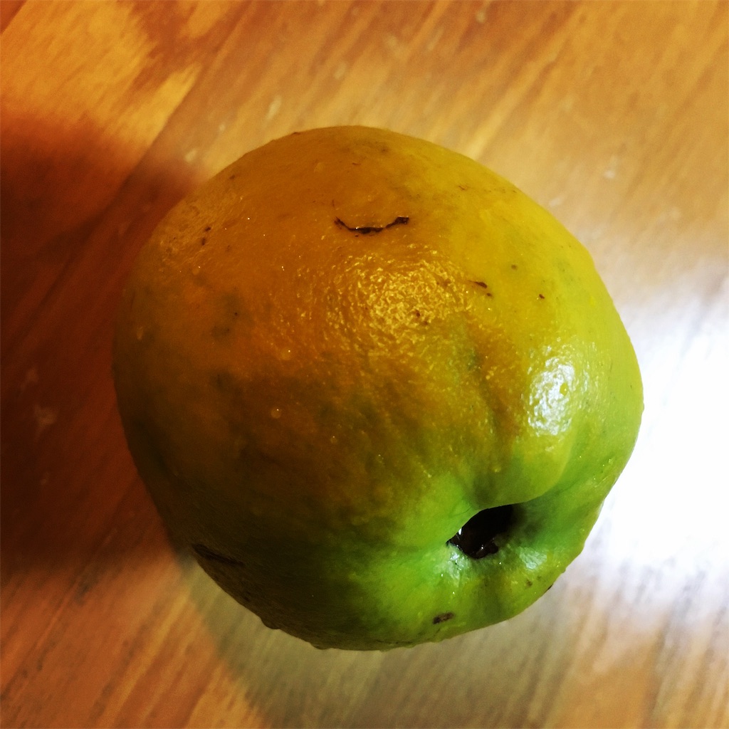 f:id:SmallForest-NaturalFarm:20190225080308j:image f:id:SmallForest-NaturalFarm:20190225080308j:image