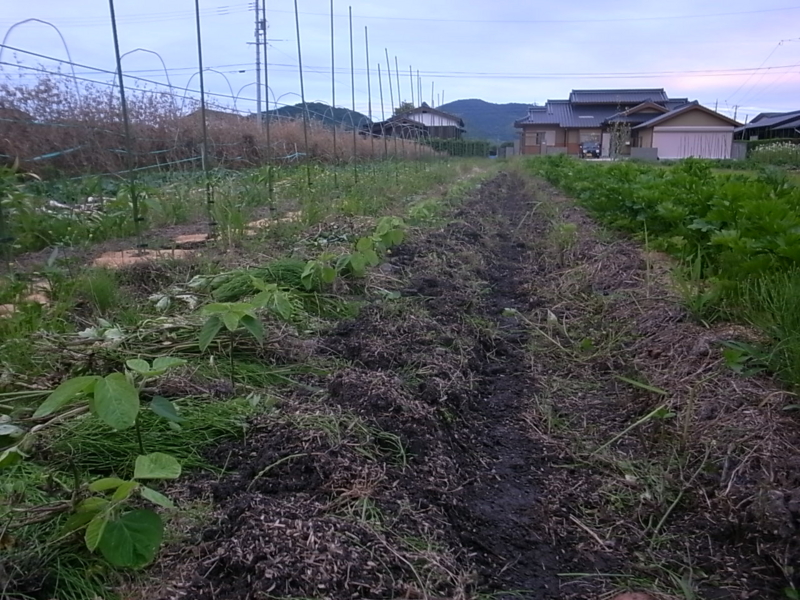 f:id:Small_Vegetable:20130612225316j:image:w360 f:id:Small_Vegetable:20130612225316j:image:w360
