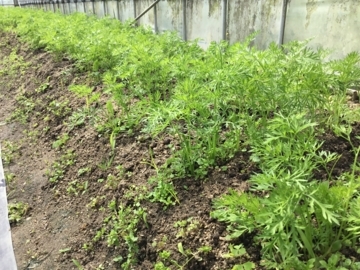 f:id:Small_Vegetable:20180414133321j:image f:id:Small_Vegetable:20180414133321j:image